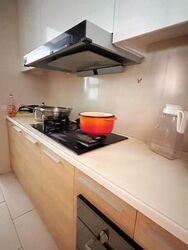 Clover By The Park (D20), Condominium #478916181